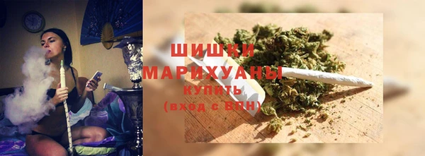 ПСИЛОЦИБИНОВЫЕ ГРИБЫ Горнозаводск