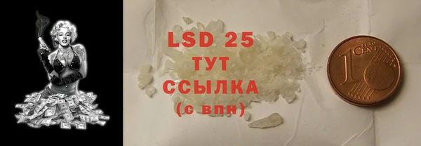ПСИЛОЦИБИНОВЫЕ ГРИБЫ Горнозаводск