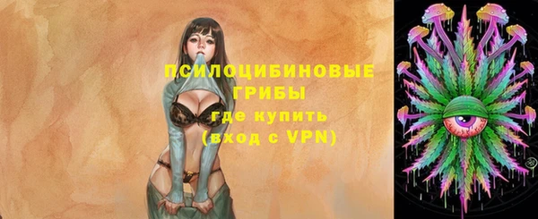 ПСИЛОЦИБИНОВЫЕ ГРИБЫ Горнозаводск