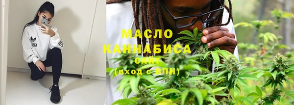 шишки Снежногорск