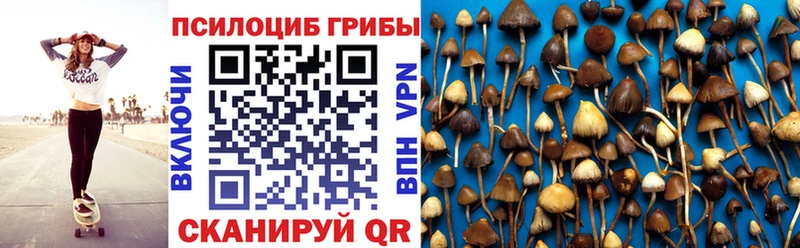 Галлюциногенные грибы Magic Shrooms  Муром 