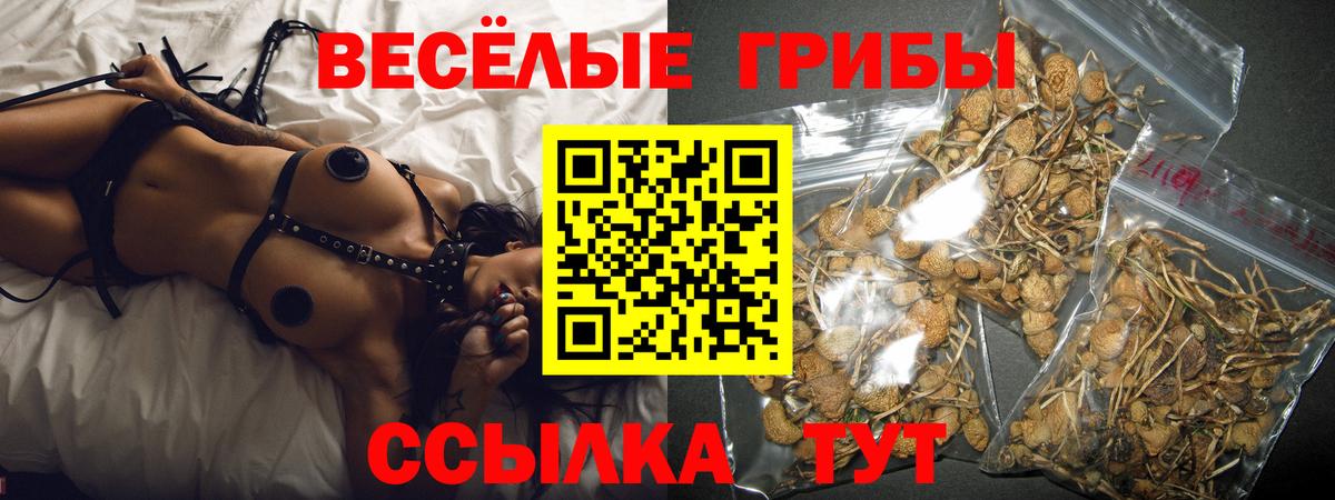 Галлюциногенные грибы Psilocybine cubensis Муром