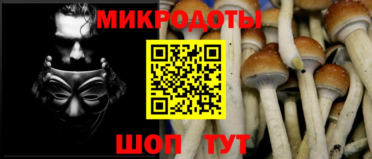 где можно купить   Галлюциногенные грибы Psilocybe  Вход с VPN  Муром 